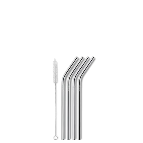 Aya&Ida Set of 4 Reusable Long Steel Smoothie Straws with Brush