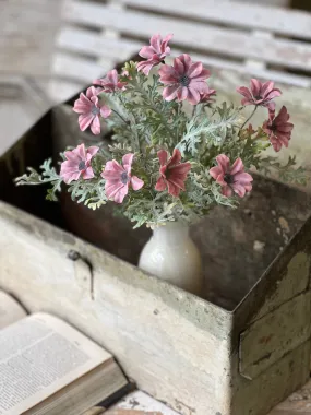 Evening Sonata Blooms Bush | 13.5" | NOT CURRENTLY IN STOCK-New For Spring 2025!