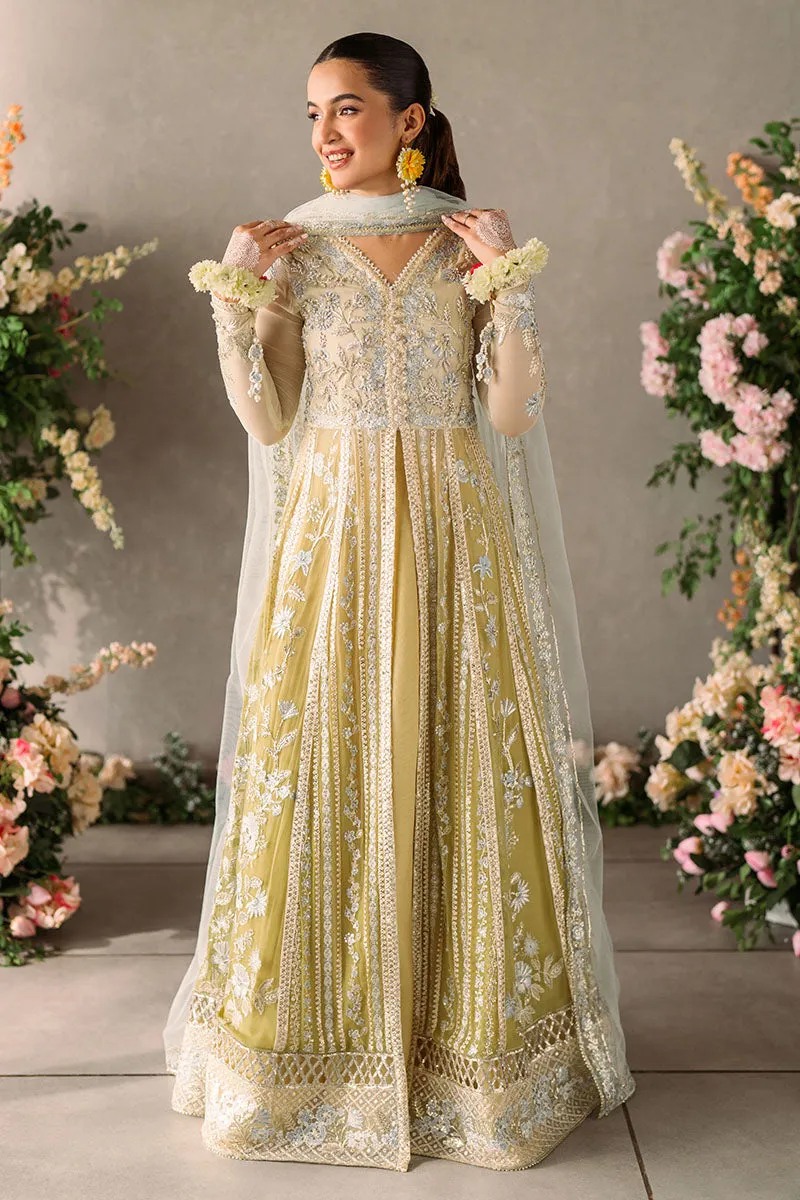 Mushq Mastani Evening Luxury Wedding Formals – Hira