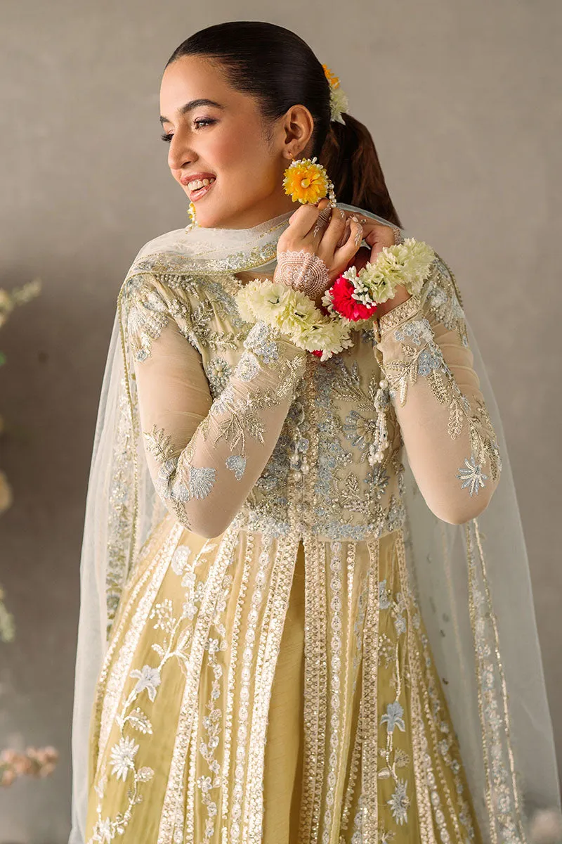 Mushq Mastani Evening Luxury Wedding Formals – Hira