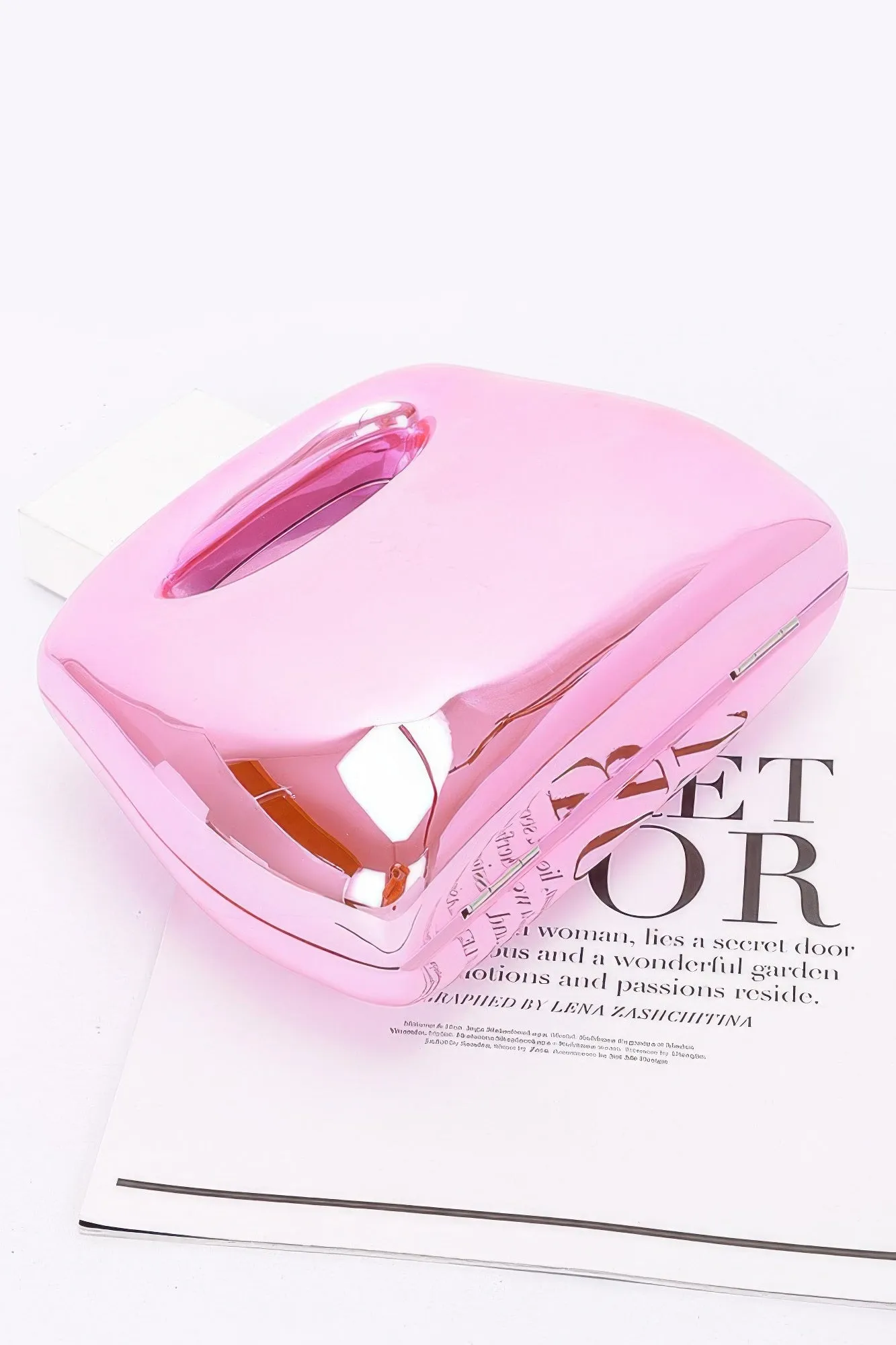 Shiny Flashy Acrylic Case Bag
